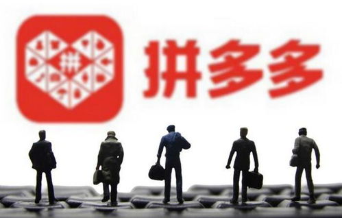 2. 自学拼多多运营