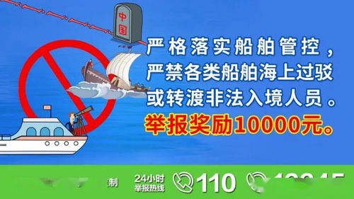 避坑指南：避免易碎品和复杂认证的电子产品