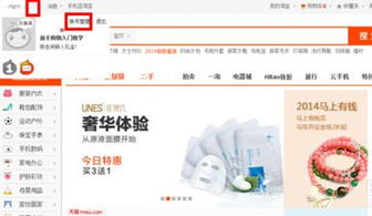 登录与进入账户设置