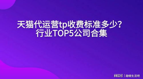 一、 天猫代运营费用概述