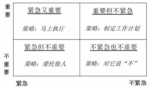 选择欧洲专线的关键要点