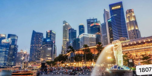 区域分销中心：依托柔佛州与新加坡的“新柔经济特区”，实现成本与市场的平衡。