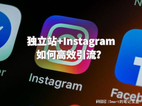 社交媒体营销：拓展独立站影响力的新渠道