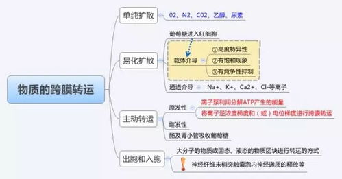 好评引导：提升好评率的温馨技巧