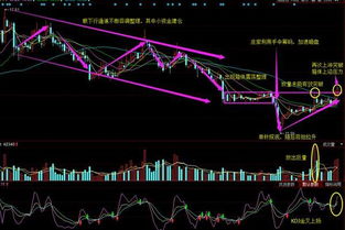 运费波动数据：用指数锚定议价基准