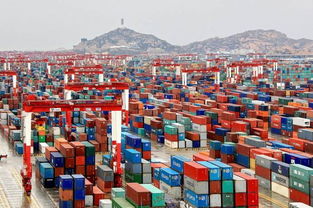 经营集装箱货物运输的实际承运人