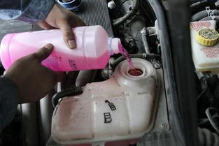 汽车防冻液在10月搜索量激增300%