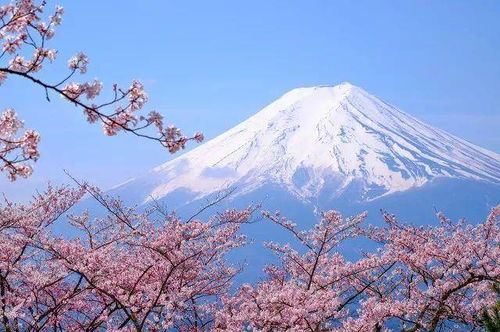 适用场景的动态匹配策略