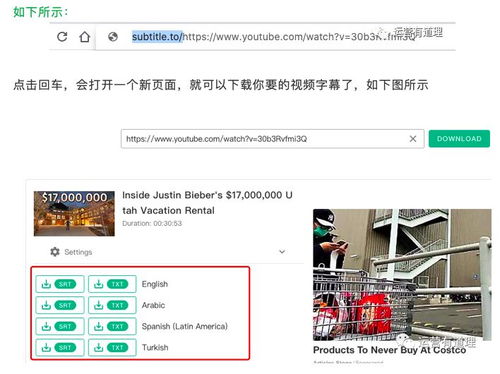 五、 提供字幕或翻译版本，增强互动体验