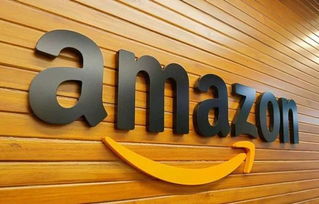 跟卖的劣势与风险