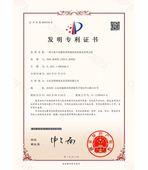 一、 深入了解查询目的与意义