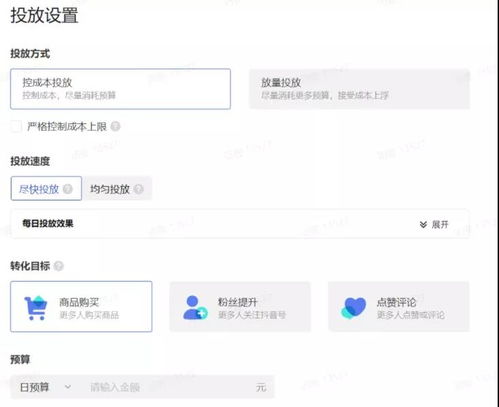 2. 99元预算的使用技巧
