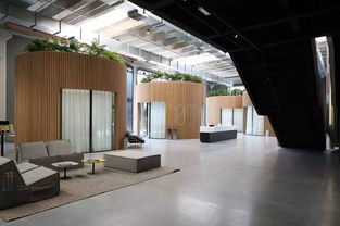 市场背景与定位