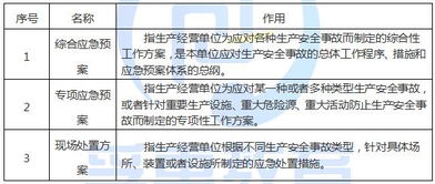 如何应对IRS审计与罚款？