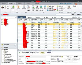 四、精准关键词策略