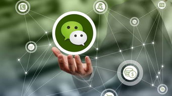 2. 视频号的产品逻辑与变现