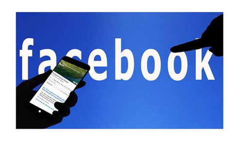 具体名称政策要求