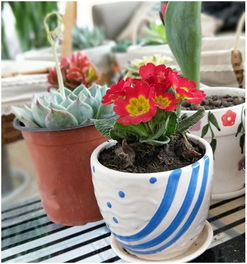 1. 深入分析创意制作