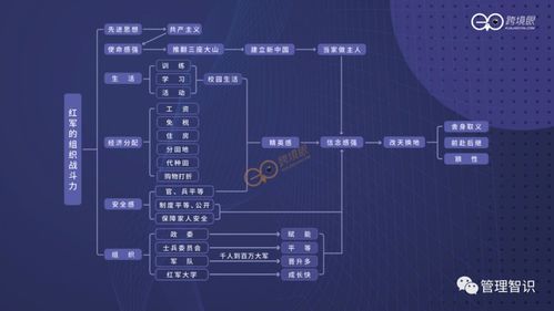 四、 数据分析，优化策略