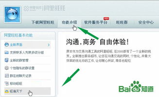 3. 使用代码添加旺旺在线客服