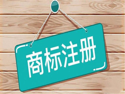 获取必要的营业执照