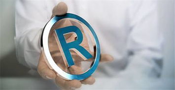 实质审查的详细评估