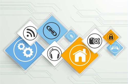 社交媒体平台的用户群体分析