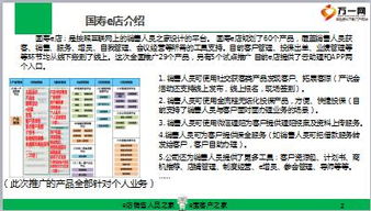 一、 Ozon平台概述