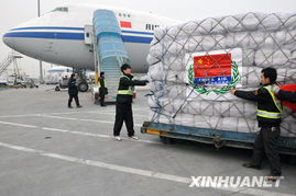 五、 散货拼舱：灵活性与成本优化的平衡策略