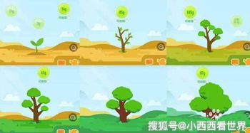 蚂蚁森林：一种新型的公益行动