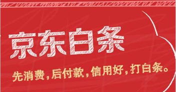 五、 京东白条的合作机构与服务范围
