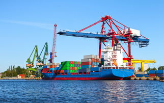 印度海关的“IEC编号”陷阱