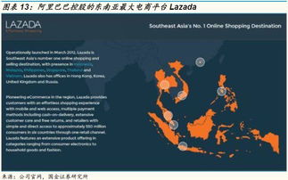 多样化的本地支付工具