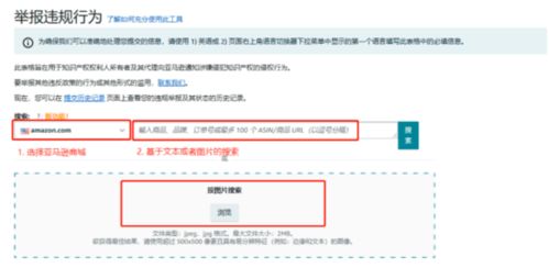 检索对方商标的有效性