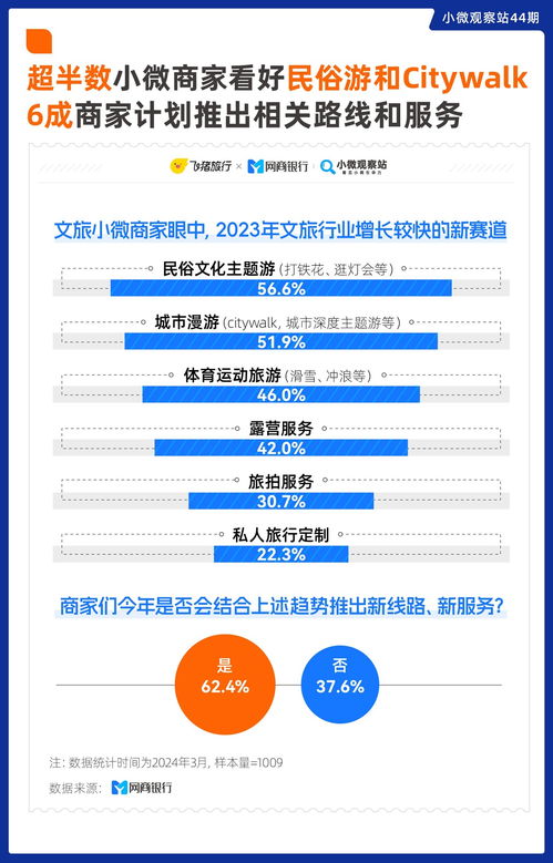 飞猪国际认证驾照翻译件服务