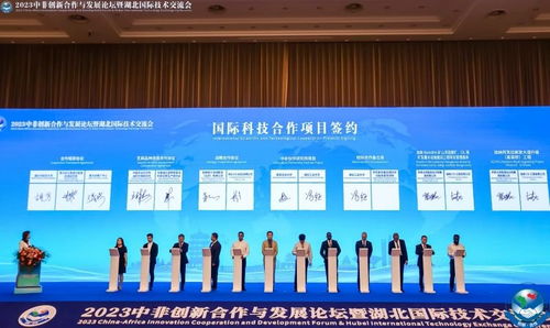 连连国际业务合作伙伴：构建一站式跨境服务平台