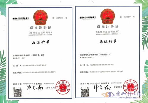 商标注册流程：从名称查册到申请提交