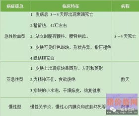 二、 基础设施差异决定产品生死