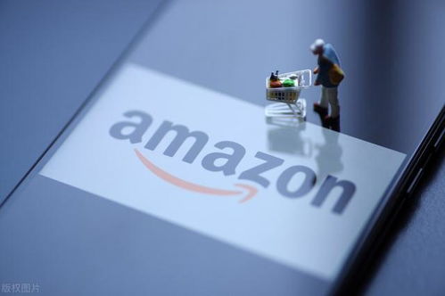 3. 跨境FBA物流与自发货方案