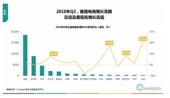 拼多多跨境电商运营基础