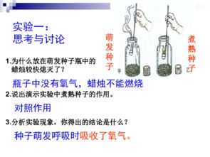 3. 平衡进出口税收负担