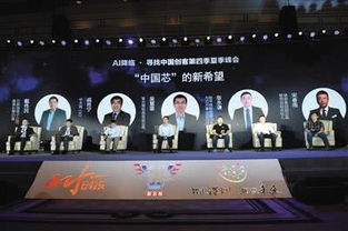 商业化挑战与机遇并存