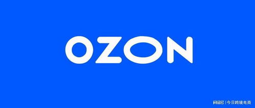 三、 Ozon卖家注册条件