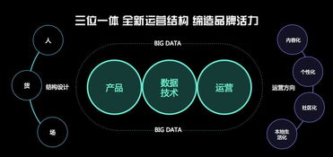 一、阿里妈妈引力魔方冷启动加速工具如何使用？