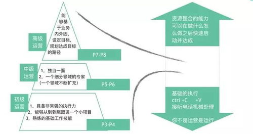 五、 创新的库存管理与直播功Neng