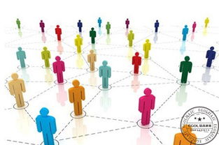 了解市场与客户