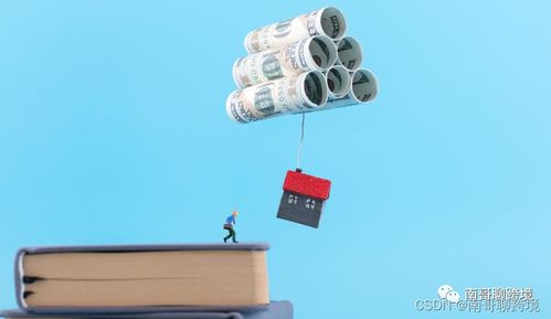 一、 Jumia平台概况