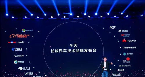 三、Wish平台的独特特点