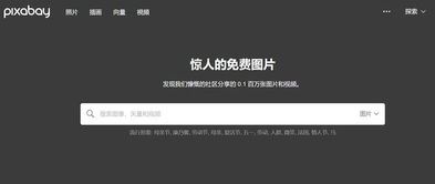 1. 图片版权保护