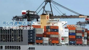 根据《海牙-维斯比规则》，货损分为“单独海损”和“共同海损”两类本质不同的形态